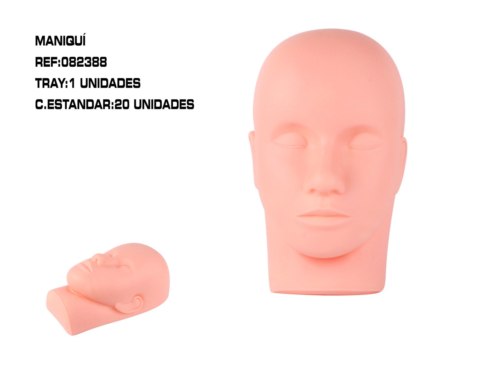 BUSTO PARA PRACTICA