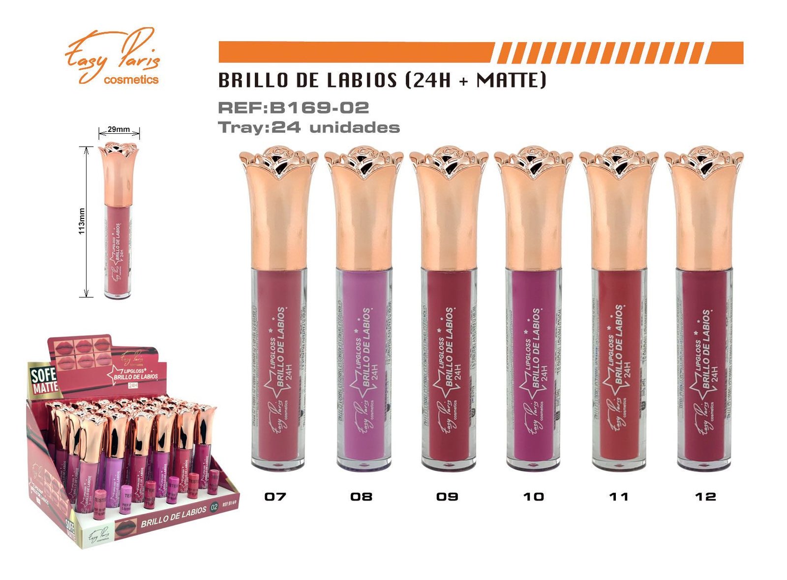 B.DE LABIOS MATE 24H